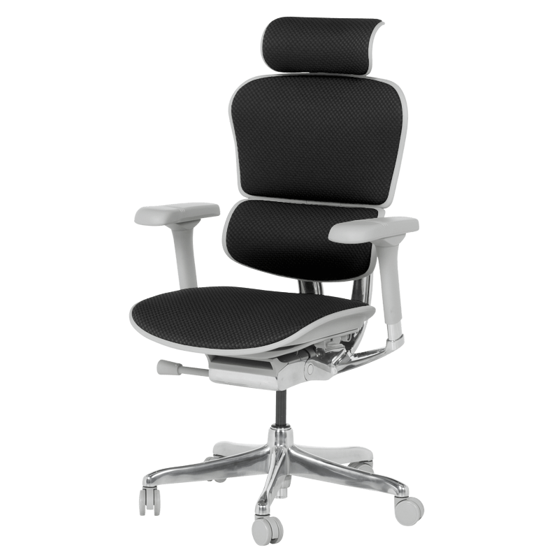 Ергономичен стол ERGOHUMAN ELITE 2 - сива рамка - черен – код 3520665, снимка 4