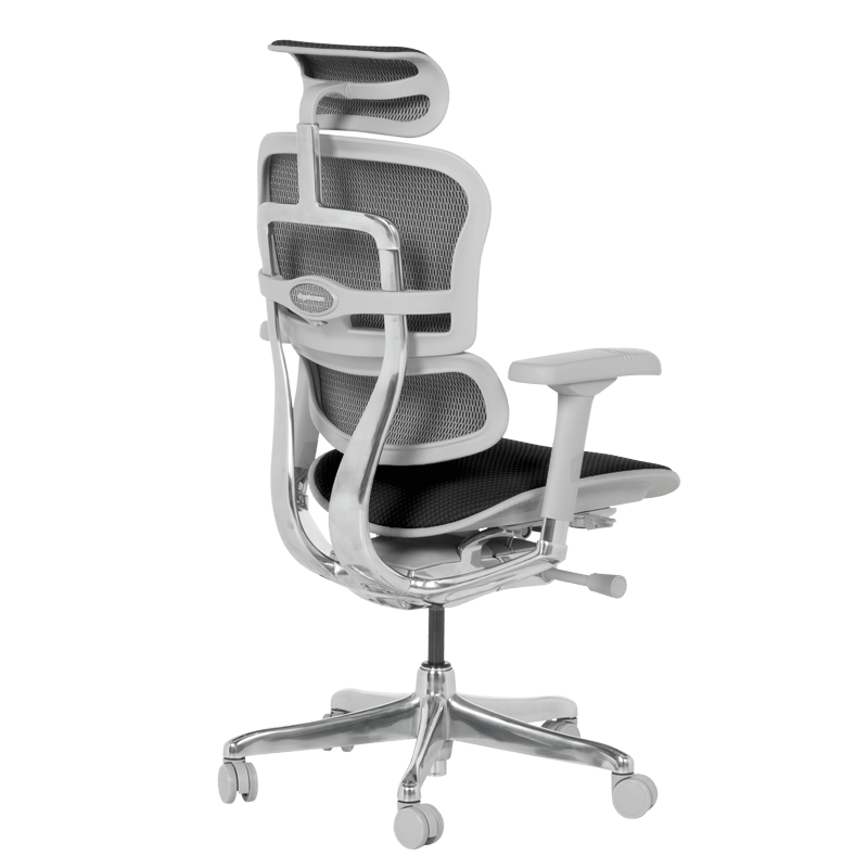 Ергономичен стол ERGOHUMAN ELITE 2 - сива рамка - черен – код 3520665, снимка 6