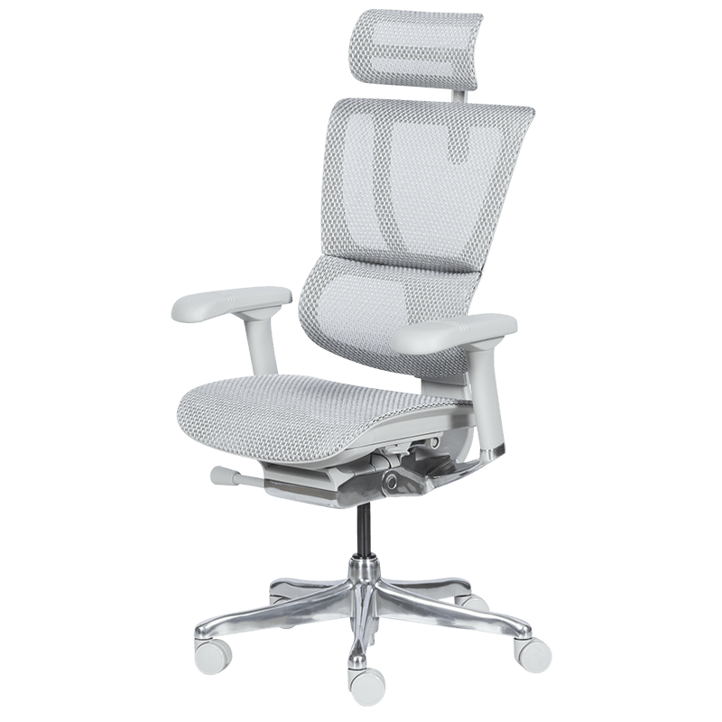 Ергономичен стол ERGOHUMAN IOO ELITE 2 - сива рамка - сив, снимка 4