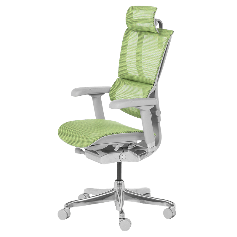 Ергономичен стол ERGOHUMAN IOO ELITE 2 - сива рамка - зелен, снимка 4