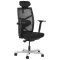 Ergonomic chair FREDO - black