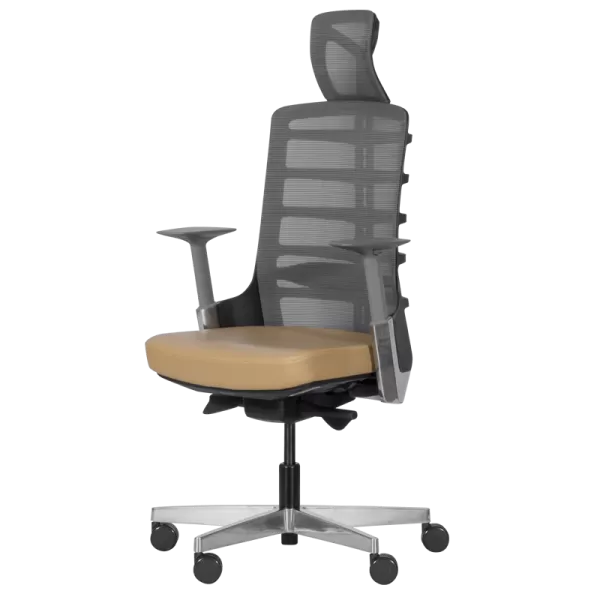 Ergonomic chair ALBERTO - beige