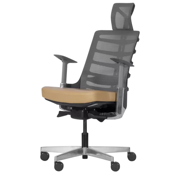 Ergonomic chair ALBERTO - beige
