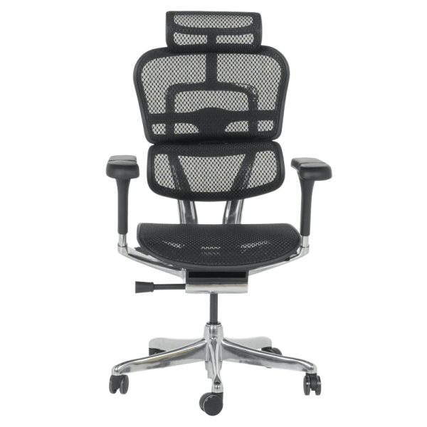 Ergonomic chair ERGOHUMAN ELITE 2 - black