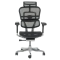 Ergonomic chair ERGOHUMAN ELITE 2 - black
