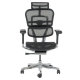 Ergonomic chair ERGOHUMAN ELITE 2 - black