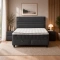 Boxspring bed ASTRA 160 x 200 - anthracite SY