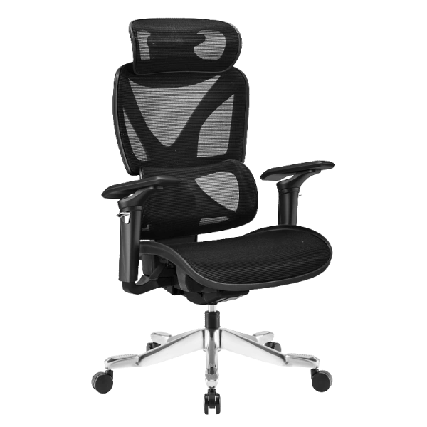 Ergonomic chair REIMS - black