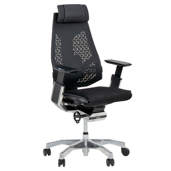 Ergonomic office chair ERGOHUMAN GENIDIA 2 - black